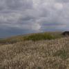 110522_37_craik