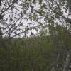 110522_68_craik