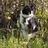110601_30_moosemountain