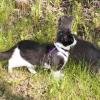 110601_33_moosemountain