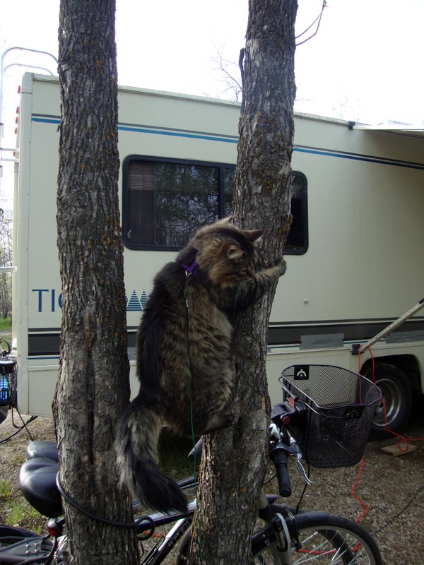 110601_43_moosemountain