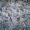 110601_64_moosemountain