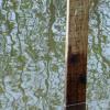 110602_04_moosemountain