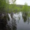 110602_05_moosemountain