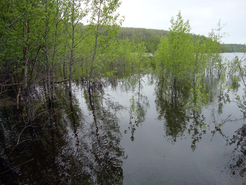 110602_05_moosemountain