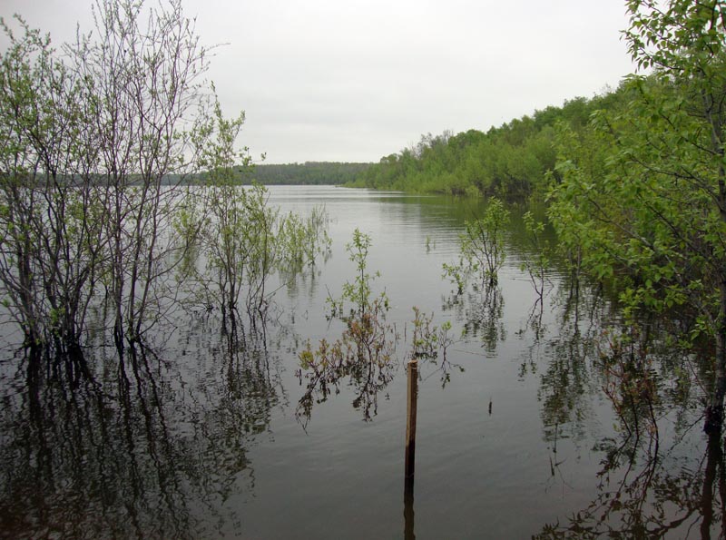 110602_06_moosemountain
