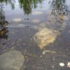 110602_08_moosemountain