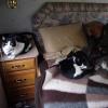 110602_14_moosemountain