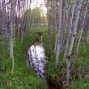 110602_21_moosemountain