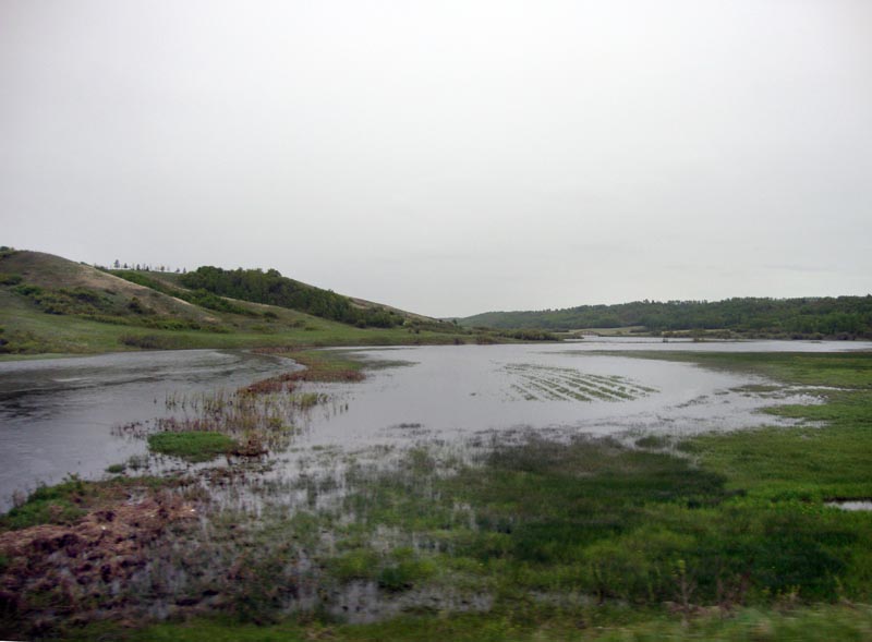 110604_01b_prairie