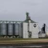 110604_02_prairie