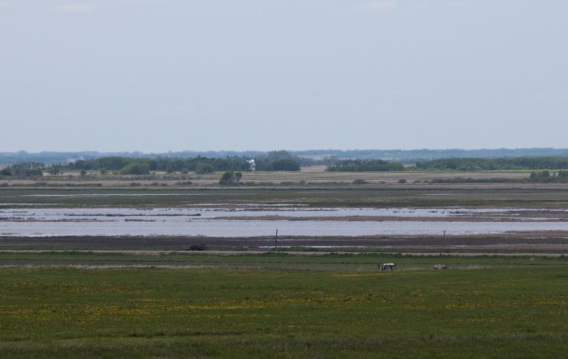 110604_03_prairie