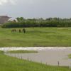 110618_12_highway43