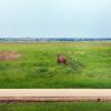 110619_03_gravelbourg