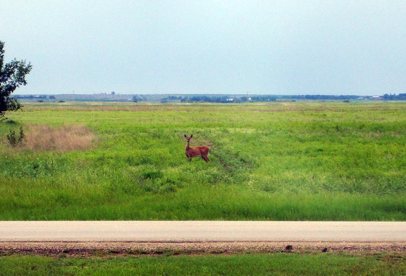 110619_03_gravelbourg