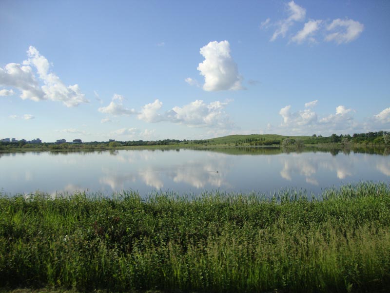 110622_05_wascanapark