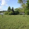 110622_08_wascanapark