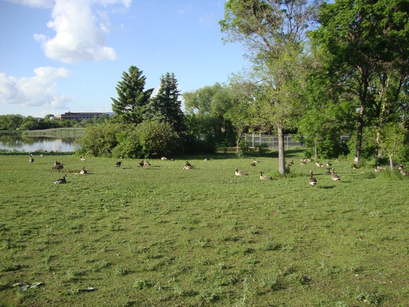 110622_08_wascanapark