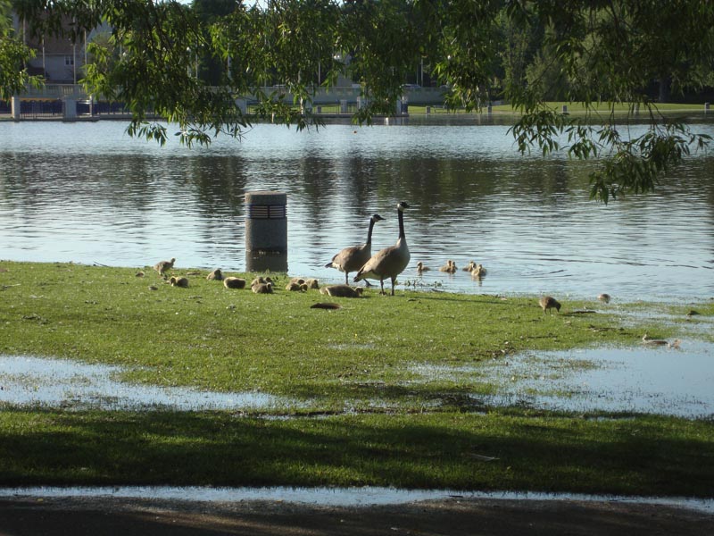 110622_21_wascanapark