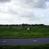 110922_004_ontheroad