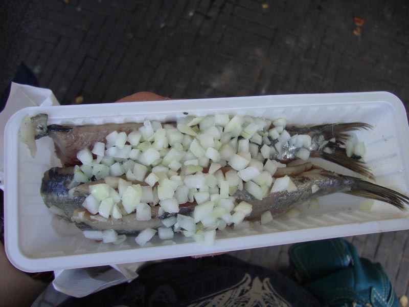110923_046_heerlen_herring