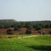 110925_008_brunssumheath