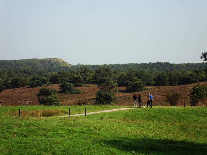 110925_008_brunssumheath