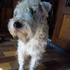110926_018_urmond_inehome