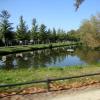 111001_014_baarlo