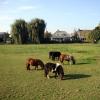111003_006_baarlo