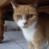 111004_015_hoofddorp_agnescolinahome
