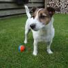 111004_018_hoofddorp_agnescolindahome