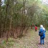 111005_017_amsterdamwatersupplydunes
