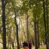 111005_029_amsterdamwatersupplydunes