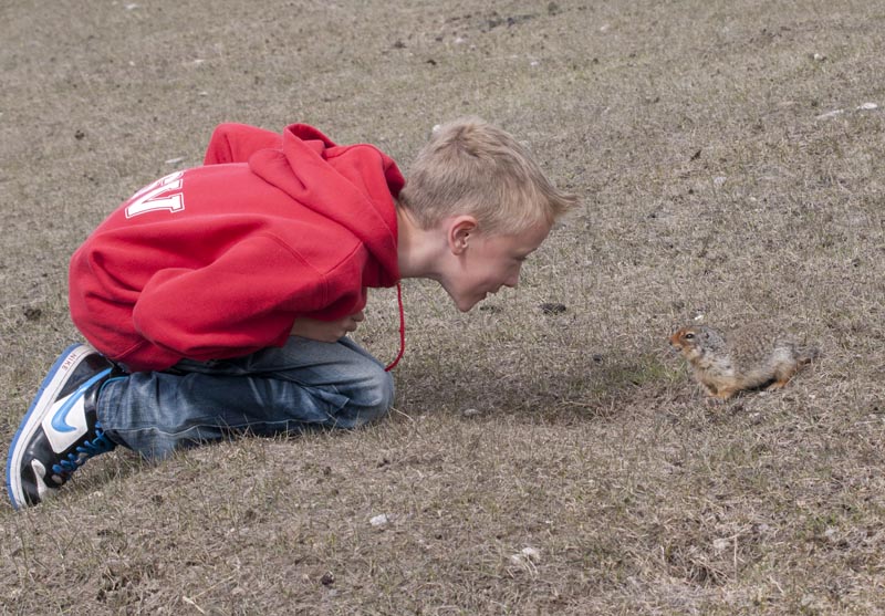 110503_016_groundsquirrel