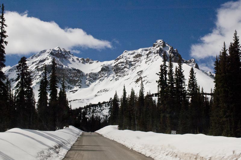 110504_024_icefieldspkwy