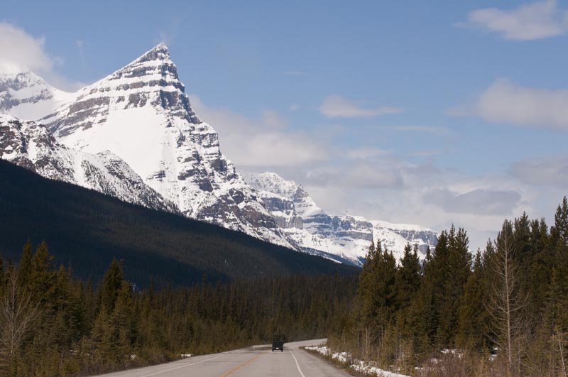 110504_071_icefieldspkwy