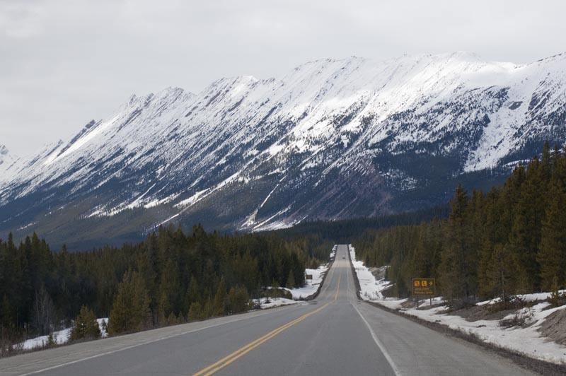 110504_102_icefieldspkwy