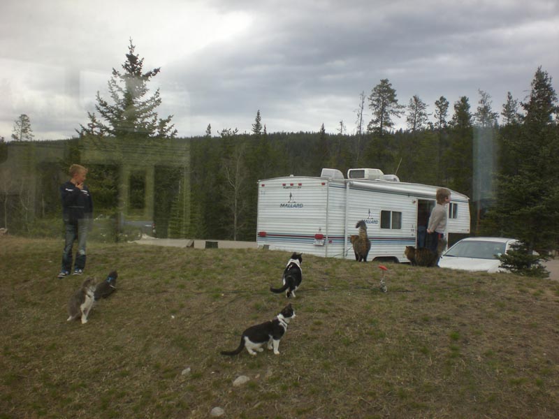 110504_120e_jasper