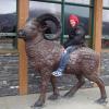 110505_006_jasper