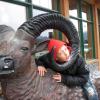 110505_007e_jasper