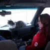 110505_026e_jasper