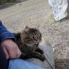 110505_036_jasper_wapitiwinter