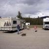 110505_039_jasper_wapitiwinter