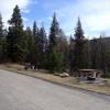 110505_042_jasper_wapitiwinter