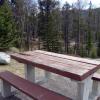 110505_043_jasper_wapitiwinter