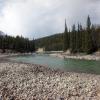 110505_052e_jasper