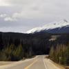 110505_072_jasper