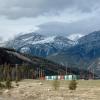 110505_084_jasper