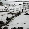 110505_094_medicinelake